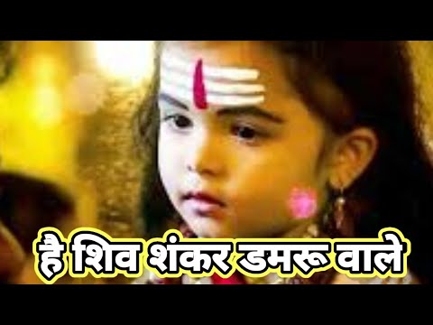 You are currently viewing है शिवशंकर डमरू वाले, करके कृपा हमको अपनाले,