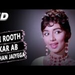 Aji Ruth Kar Ab Kaha Jaaiyega Lyrics in Hindi from Arzoo (1965)