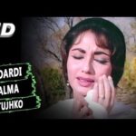 Bedardi Balma Tujhko Lyrics in Hindi from Arzoo (1965)