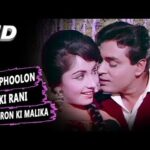 Ai Phulon Ki Raani Bahaaron Ki Malikaa Lyrics in Hindi from Arzoo (1965)