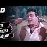 Ai Nargise Mastana Lyrics in Hindi from Arzoo (1965)