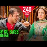 Baby Ko Bass Pasand Hai Hindi Lyrics- Sultan