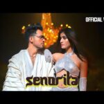सेनोरिटा Senorita Lyrics in Hindi – Tony Kakkar