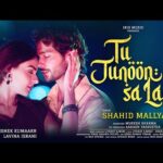 तू जुनून सा लगा Tu Junoon Sa Laga Lyrics – Shahid Mallya