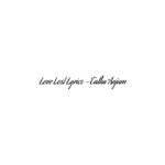 Love Lost Lyrics – Talha Anjum