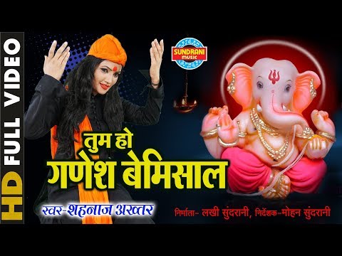 You are currently viewing तुम हो गणेश बेमिसाल Tum Ho Ganesh Bemishal Lyrics – Shahnaz Akhtar