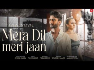 Read more about the article मेरा दिल मेरी जान Mera Dil Meri Jaan Lyrics – Hardil Pandya